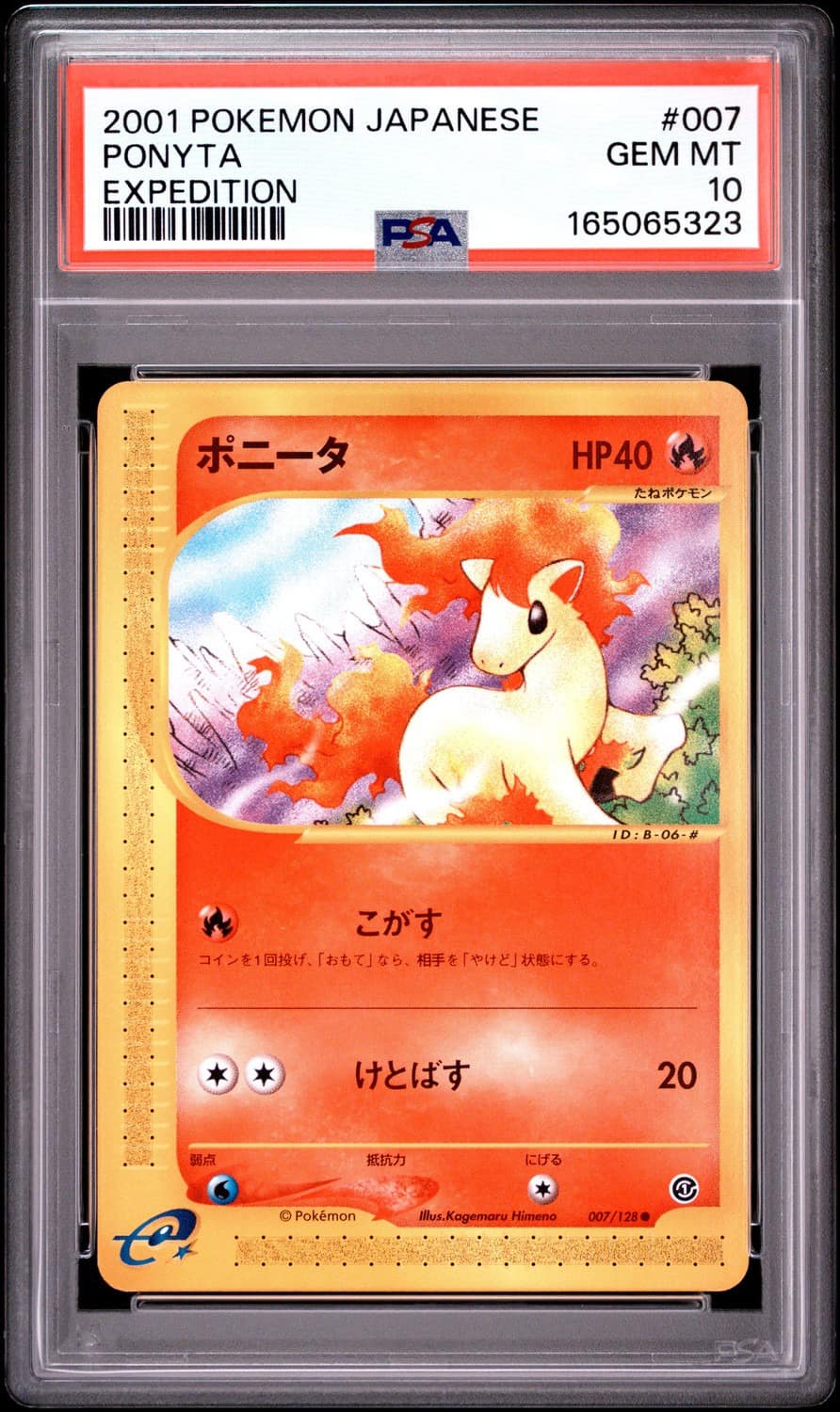 Ponyta