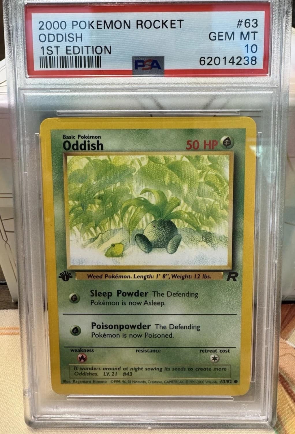 Oddish
