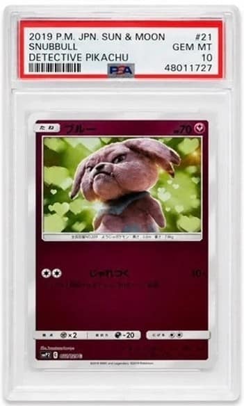 Snubbull