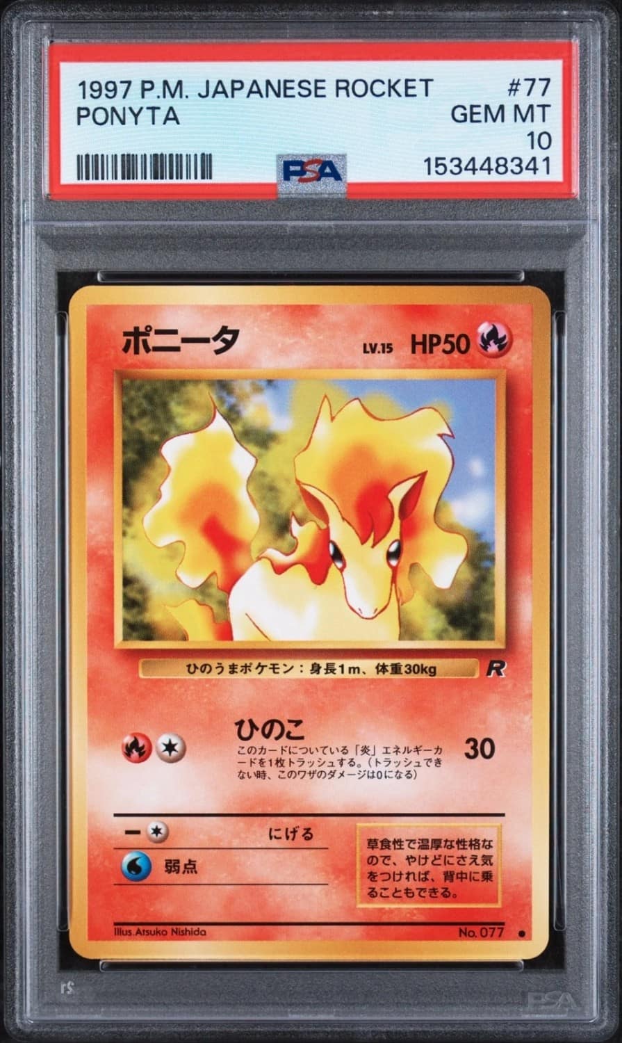 Ponyta