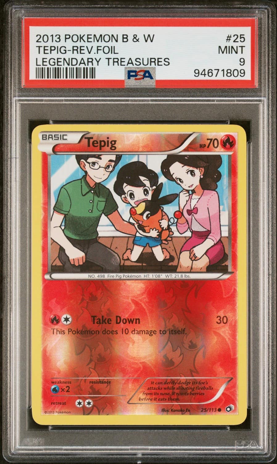 Tepig