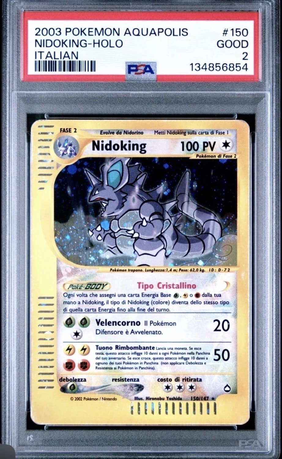 Nidoking