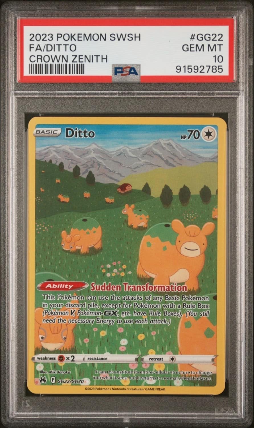 Ditto