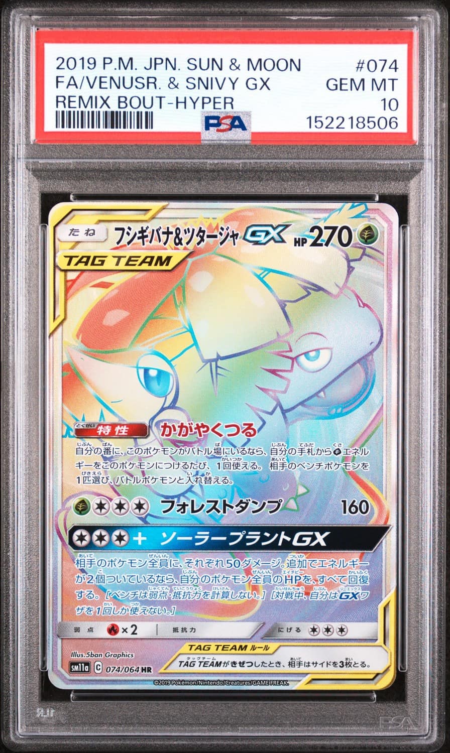 Venusaur & Snivy Gx