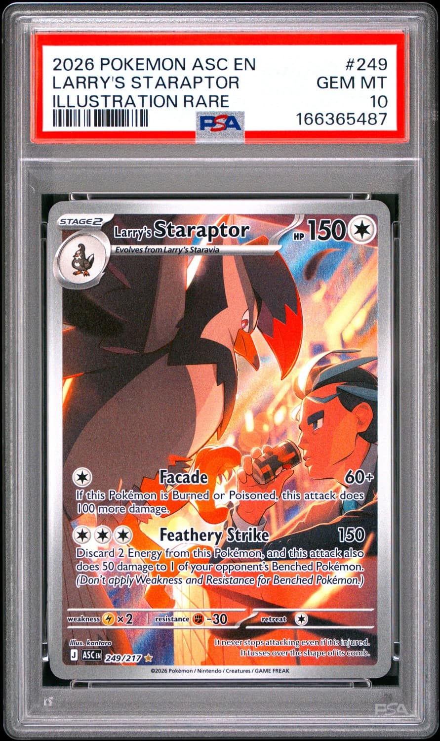 Larry'S Staraptor