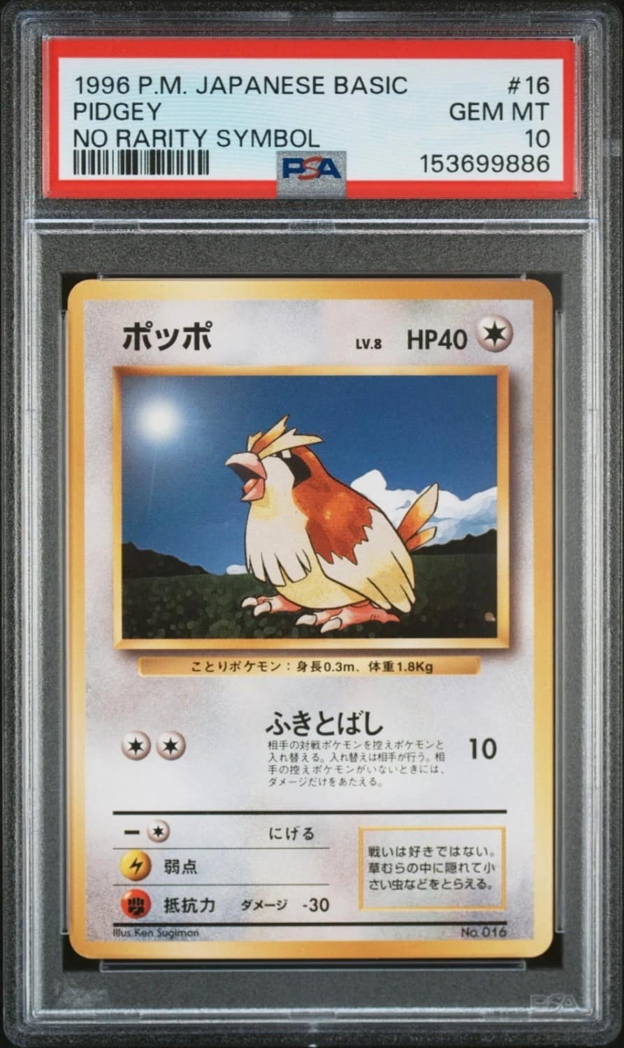 Pidgey
