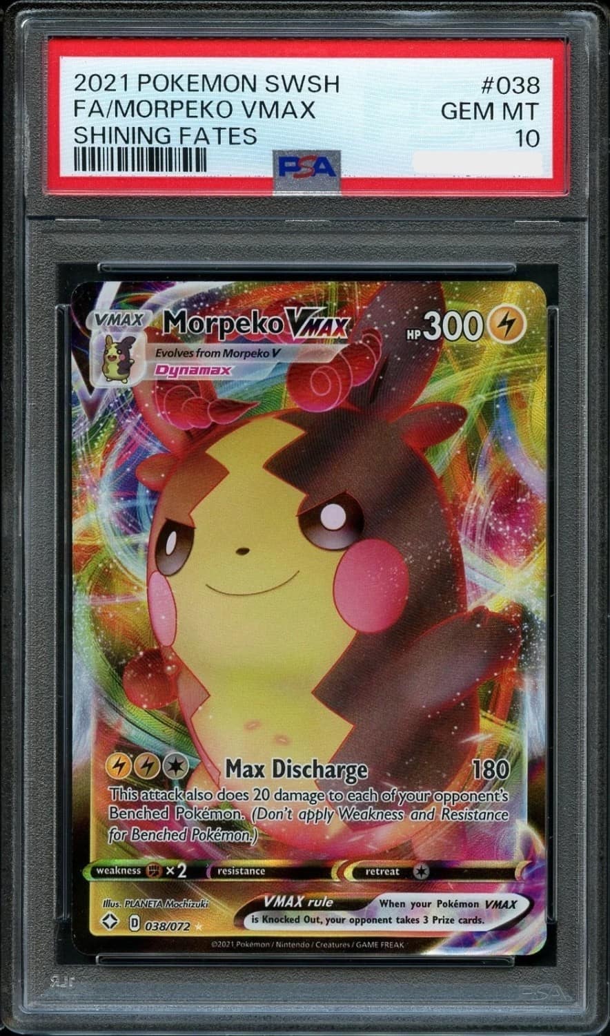 Morpeko Vmax