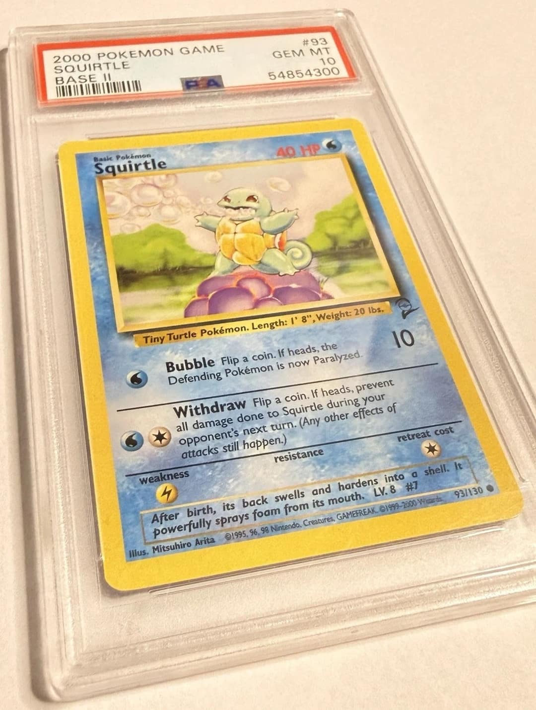 Squirtle
