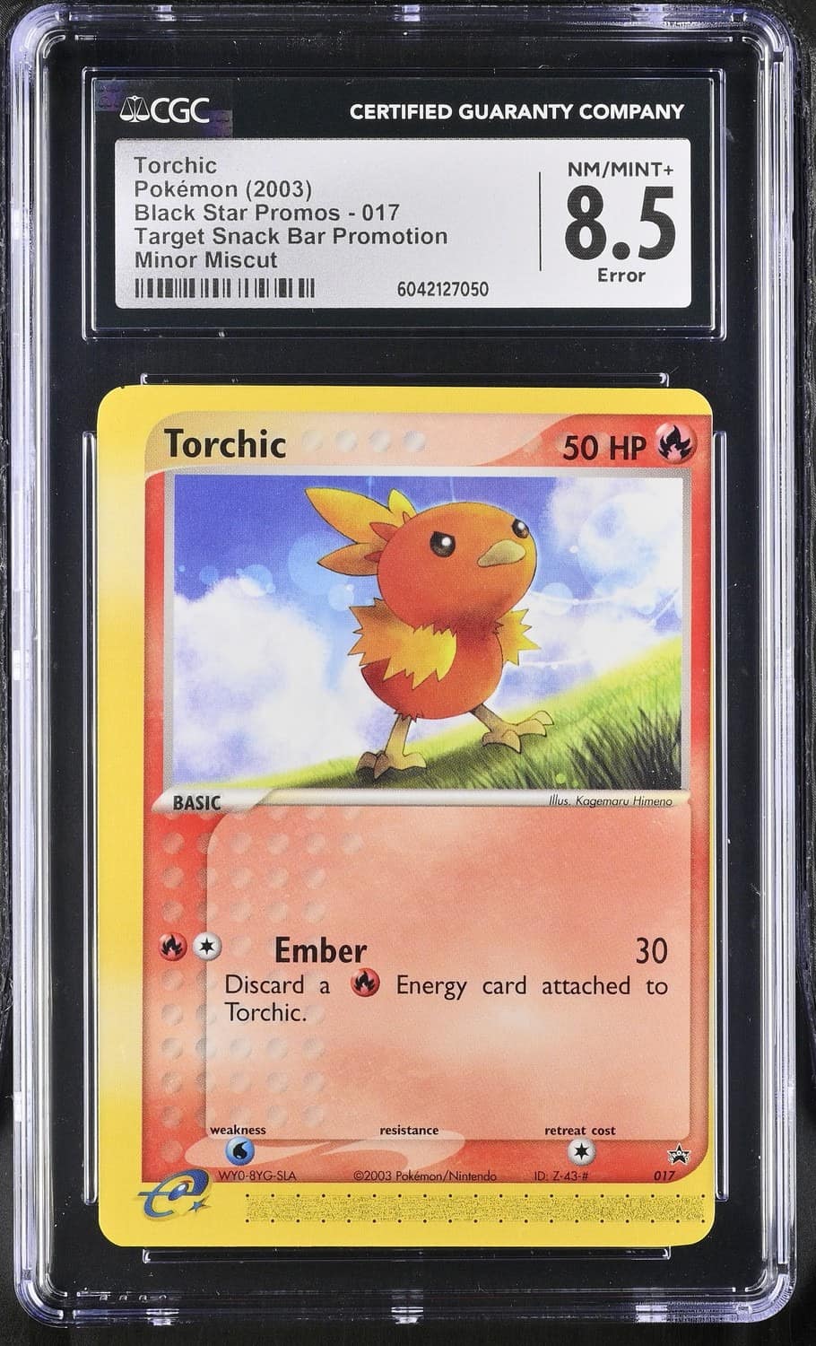 Torchic