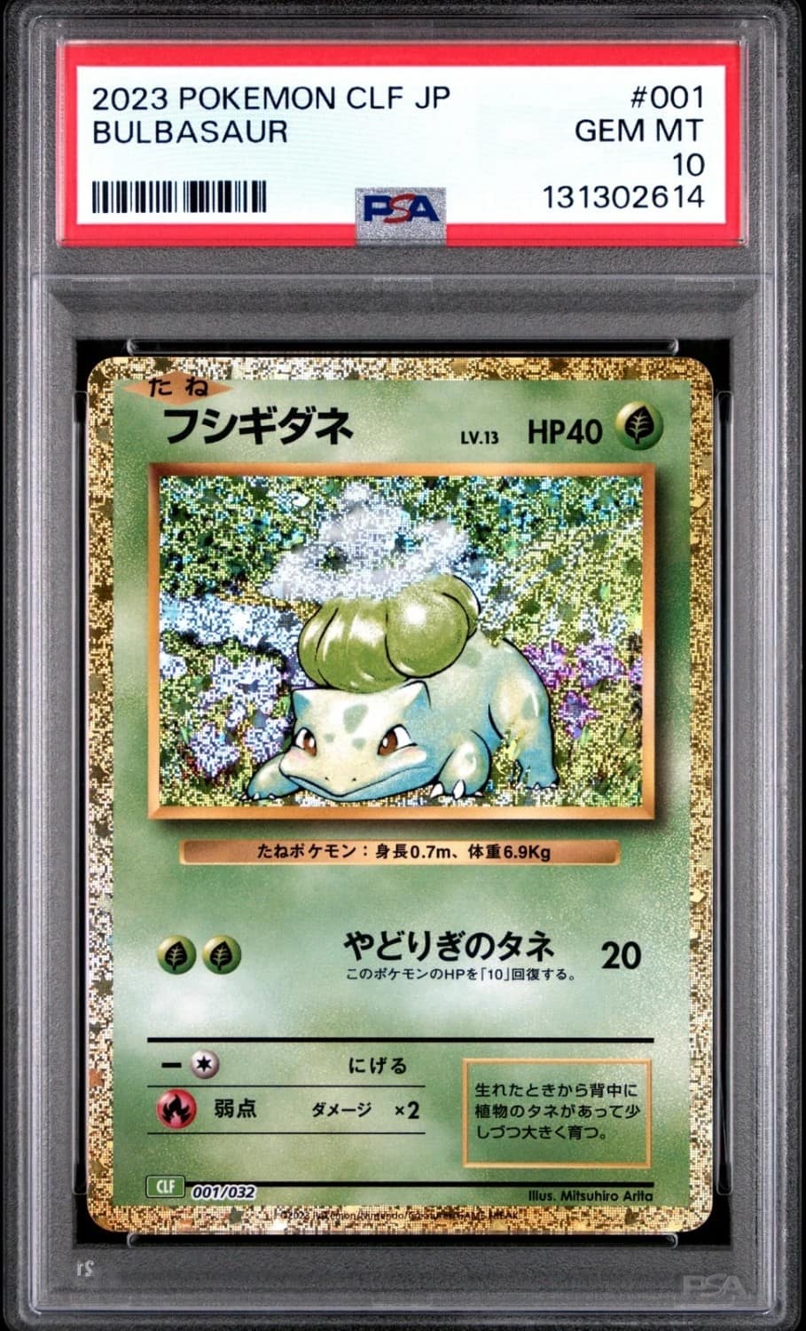 Squirtle