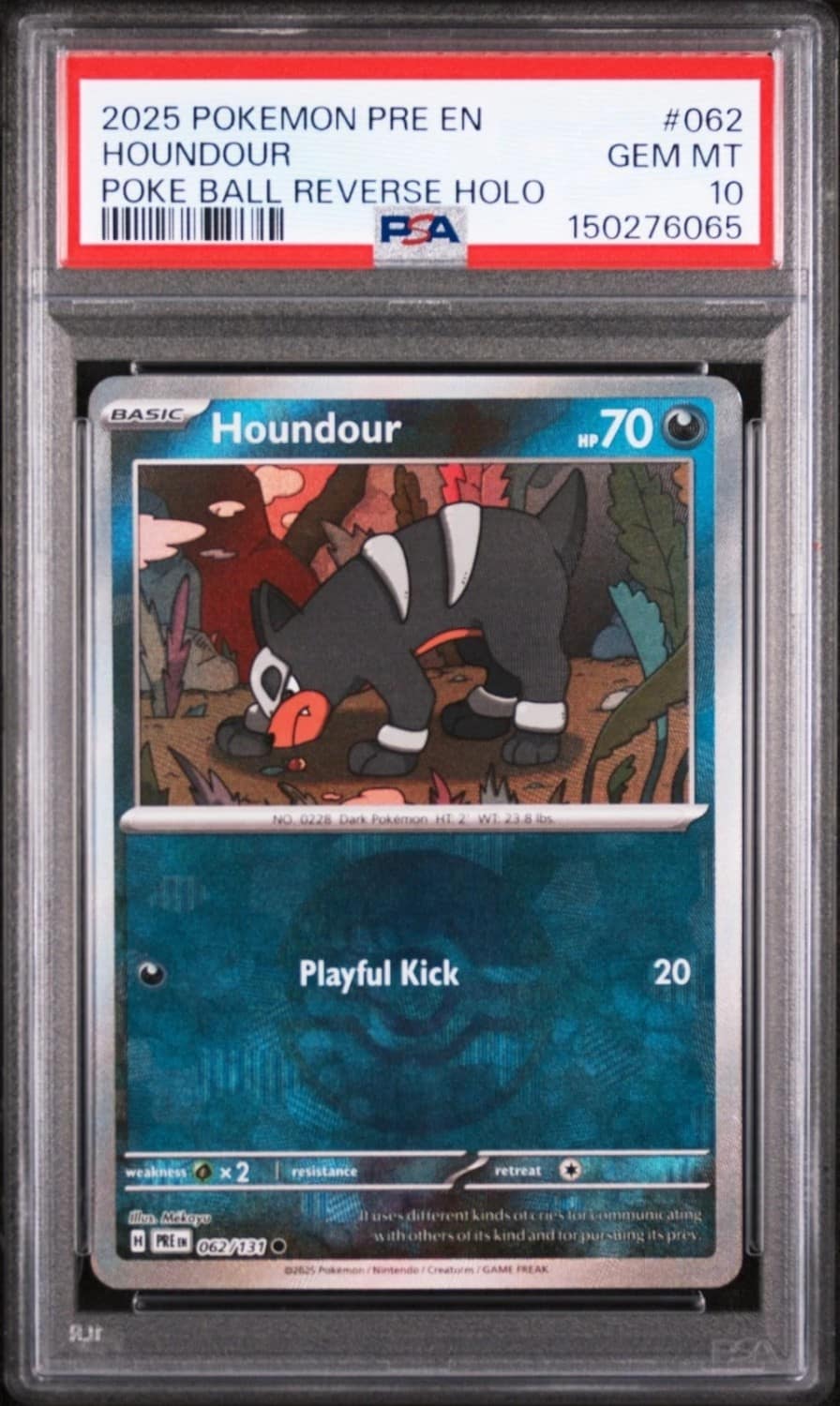 Houndour
