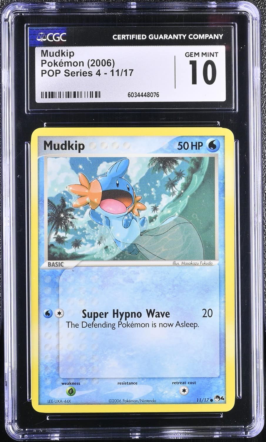 Mudkip