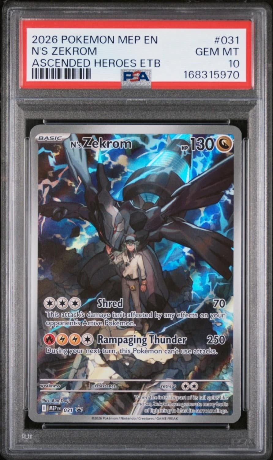 N'S Zekrom