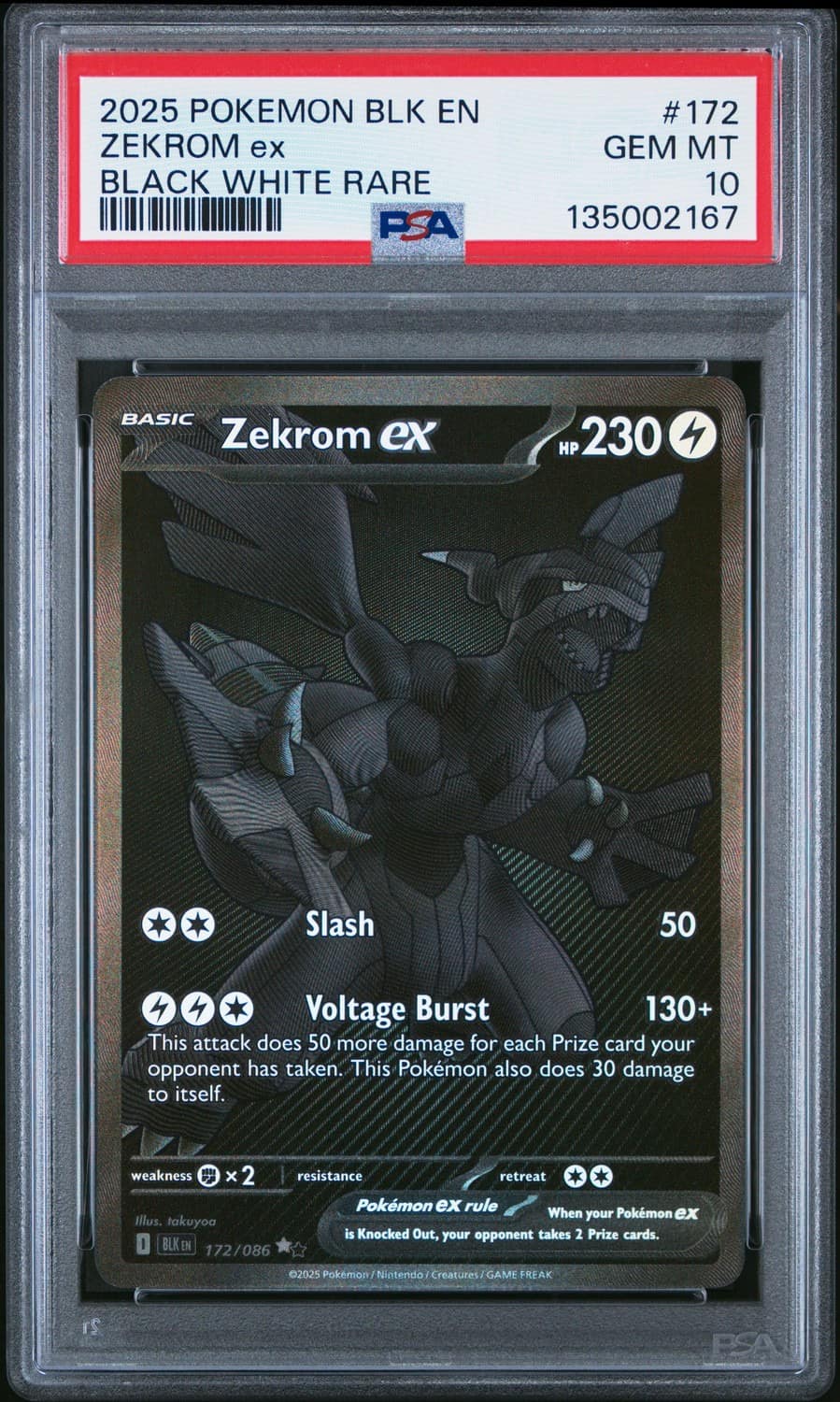 Zekrom Ex