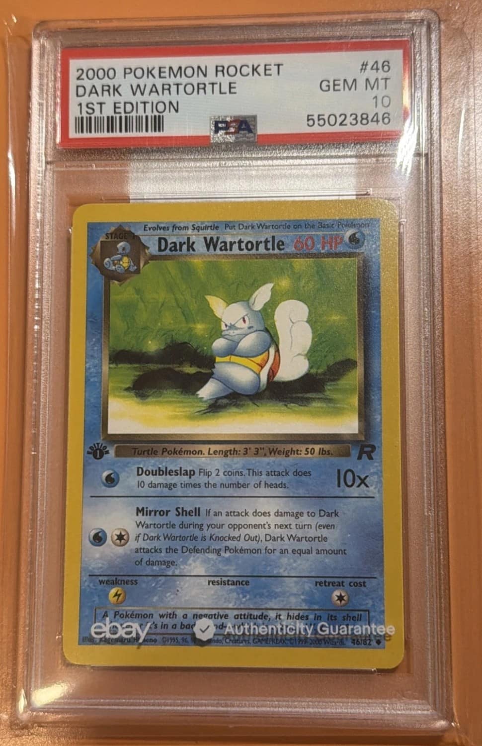 Dark Wartortle