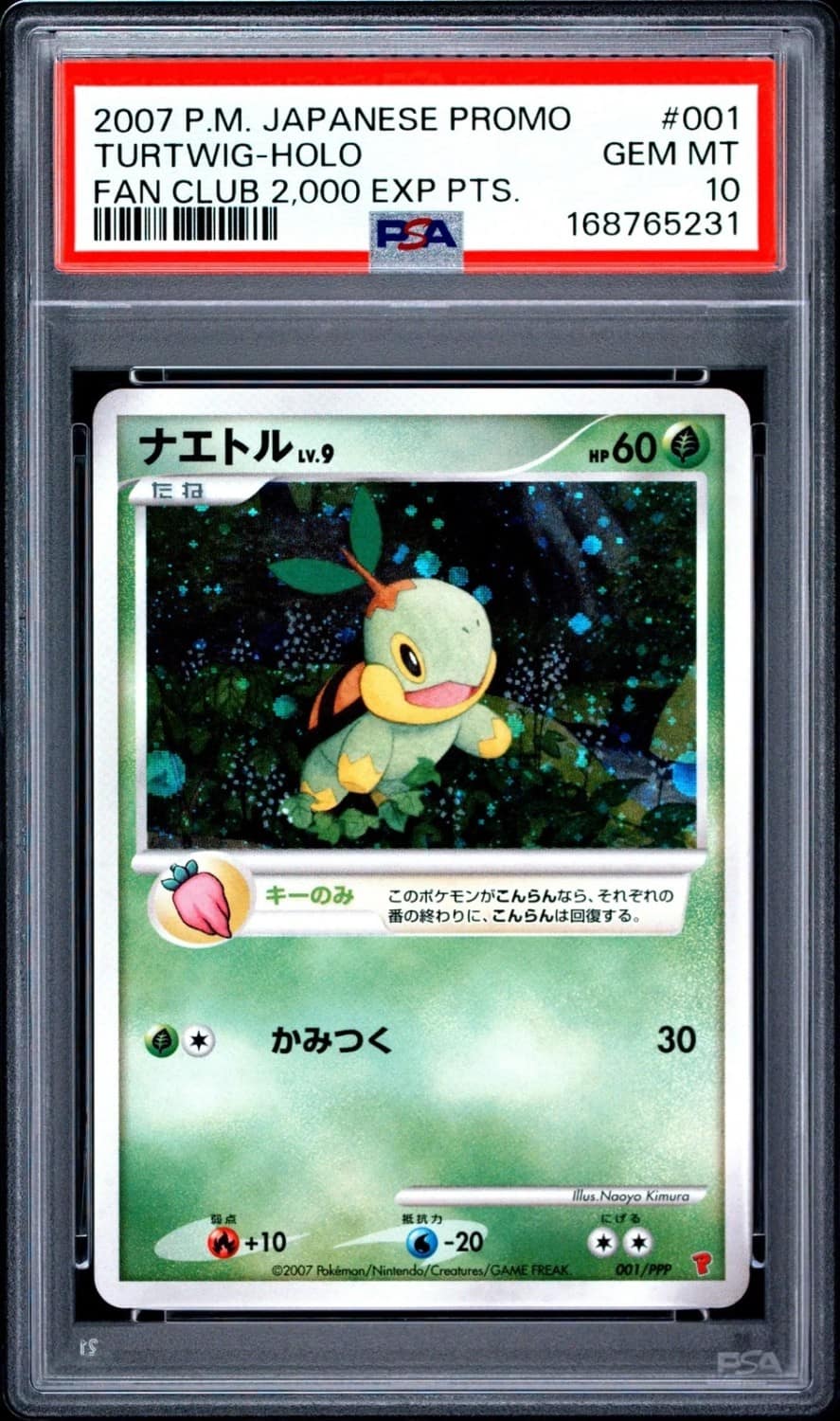 Turtwig