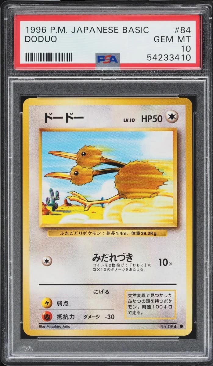 Doduo