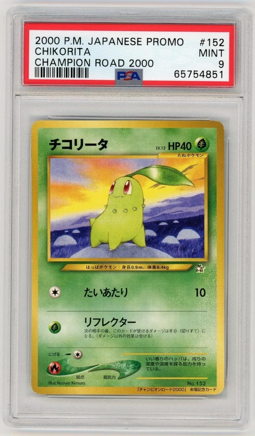 Chikorita
