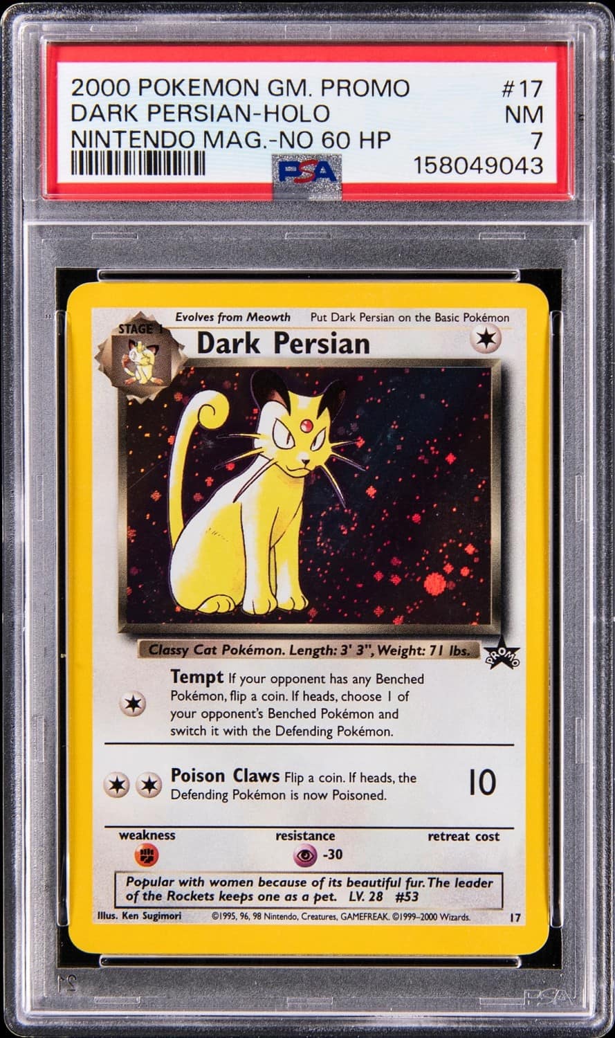 Dark Persian