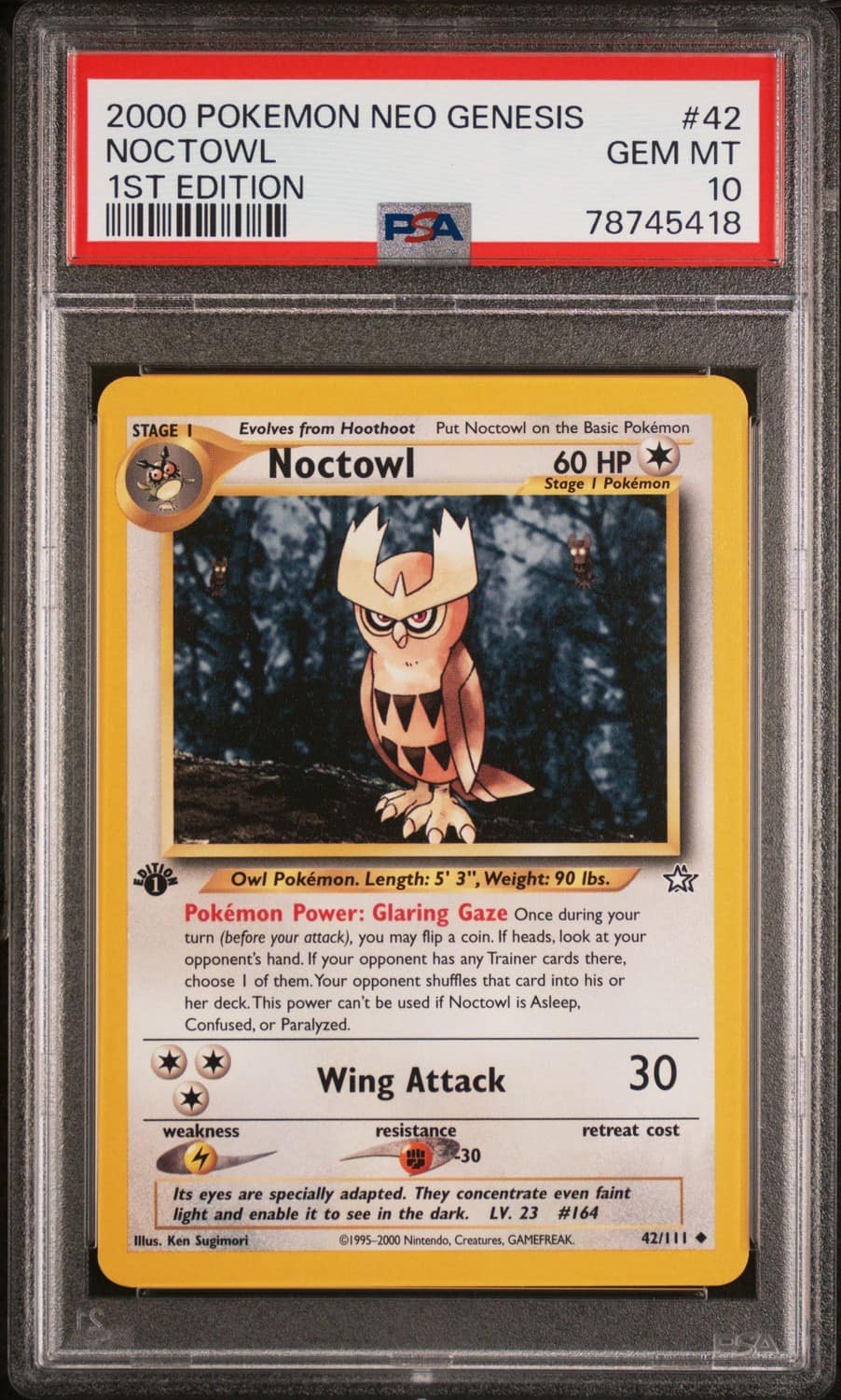 Noctowl