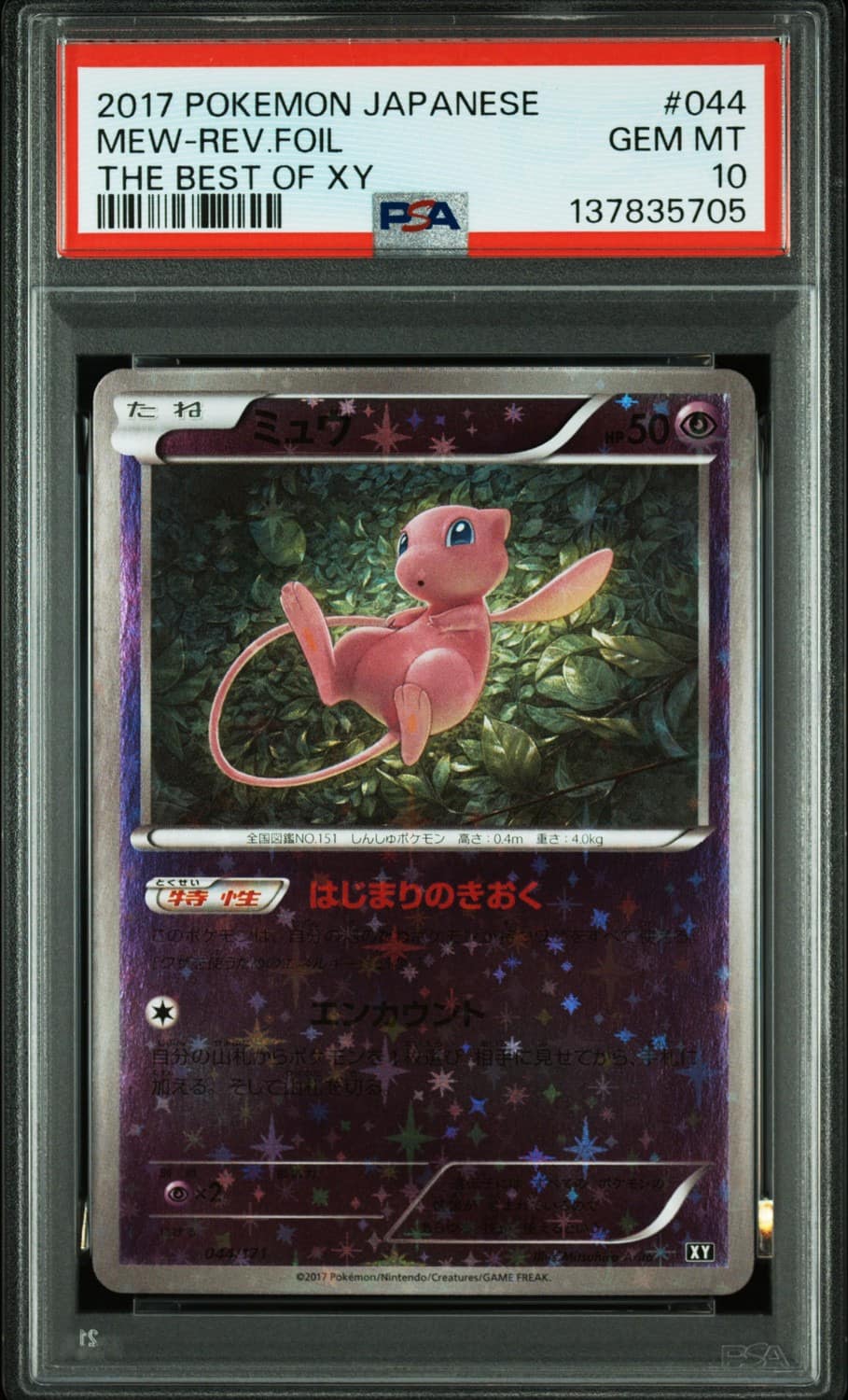 Mew