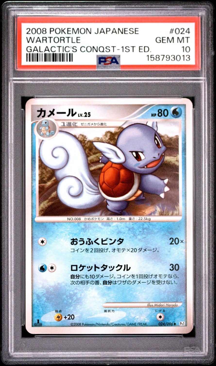 Wartortle