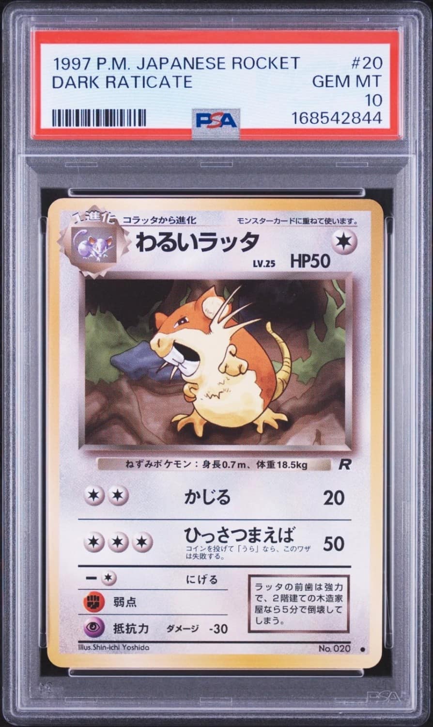 Dark Raticate