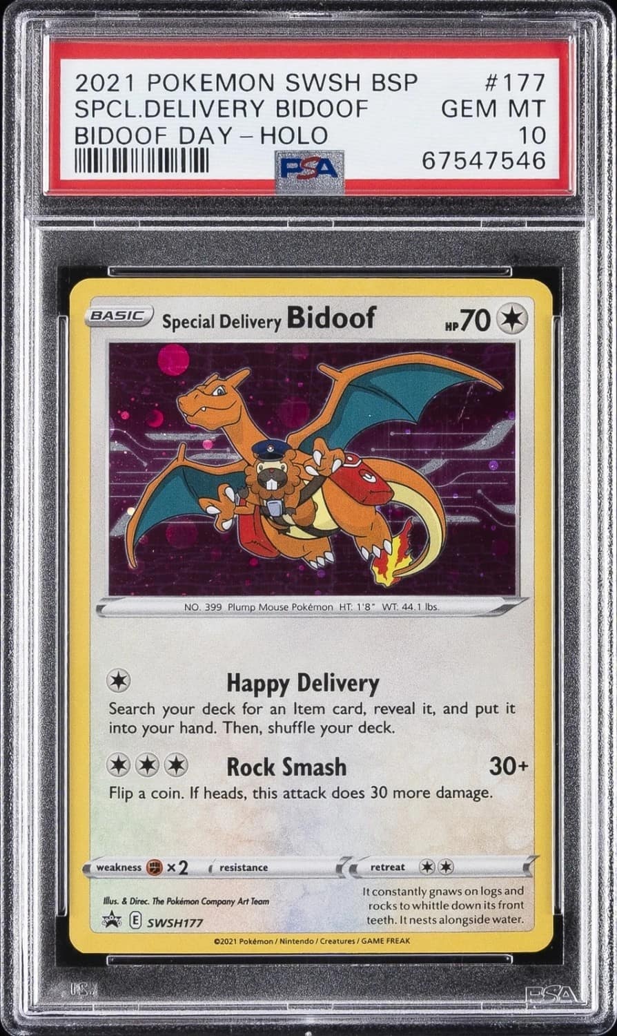Special Delivery Bidoof
