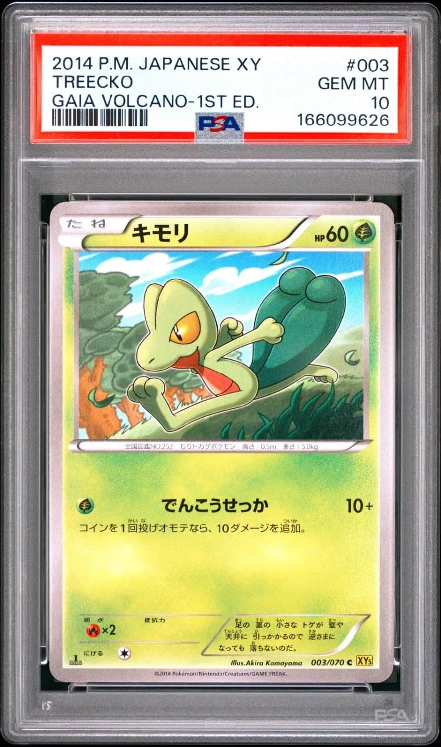 Treecko