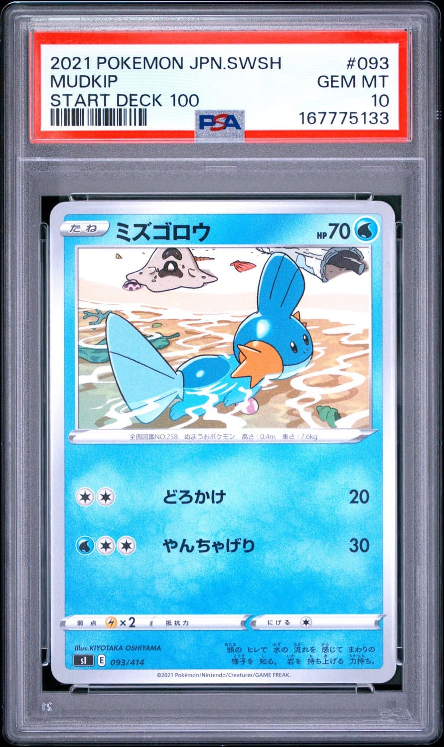 Mudkip
