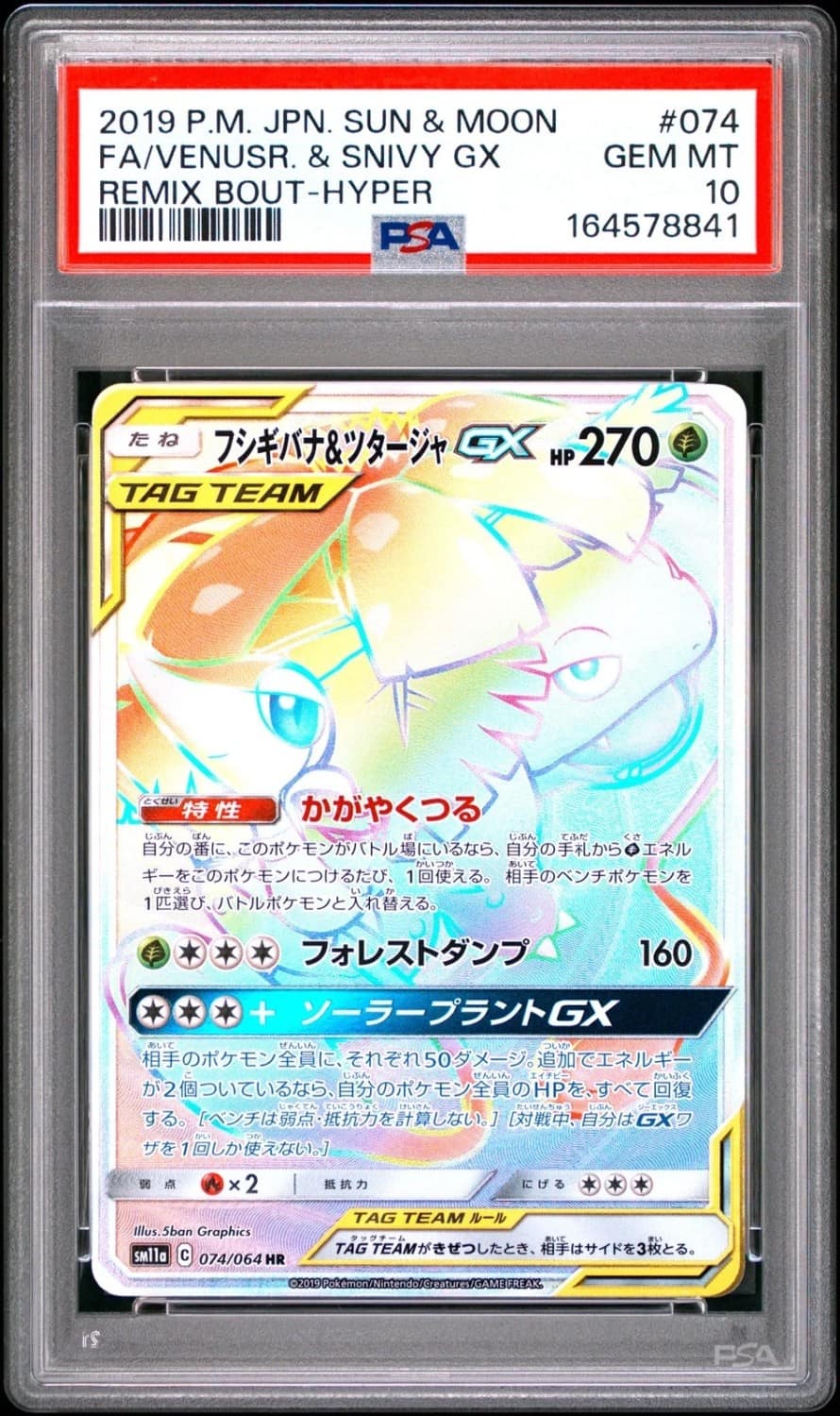 Venusaur & Snivy Gx
