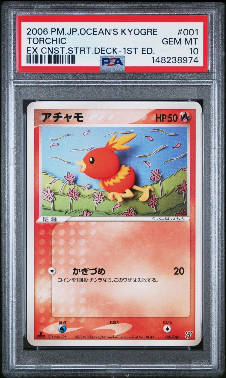 Torchic