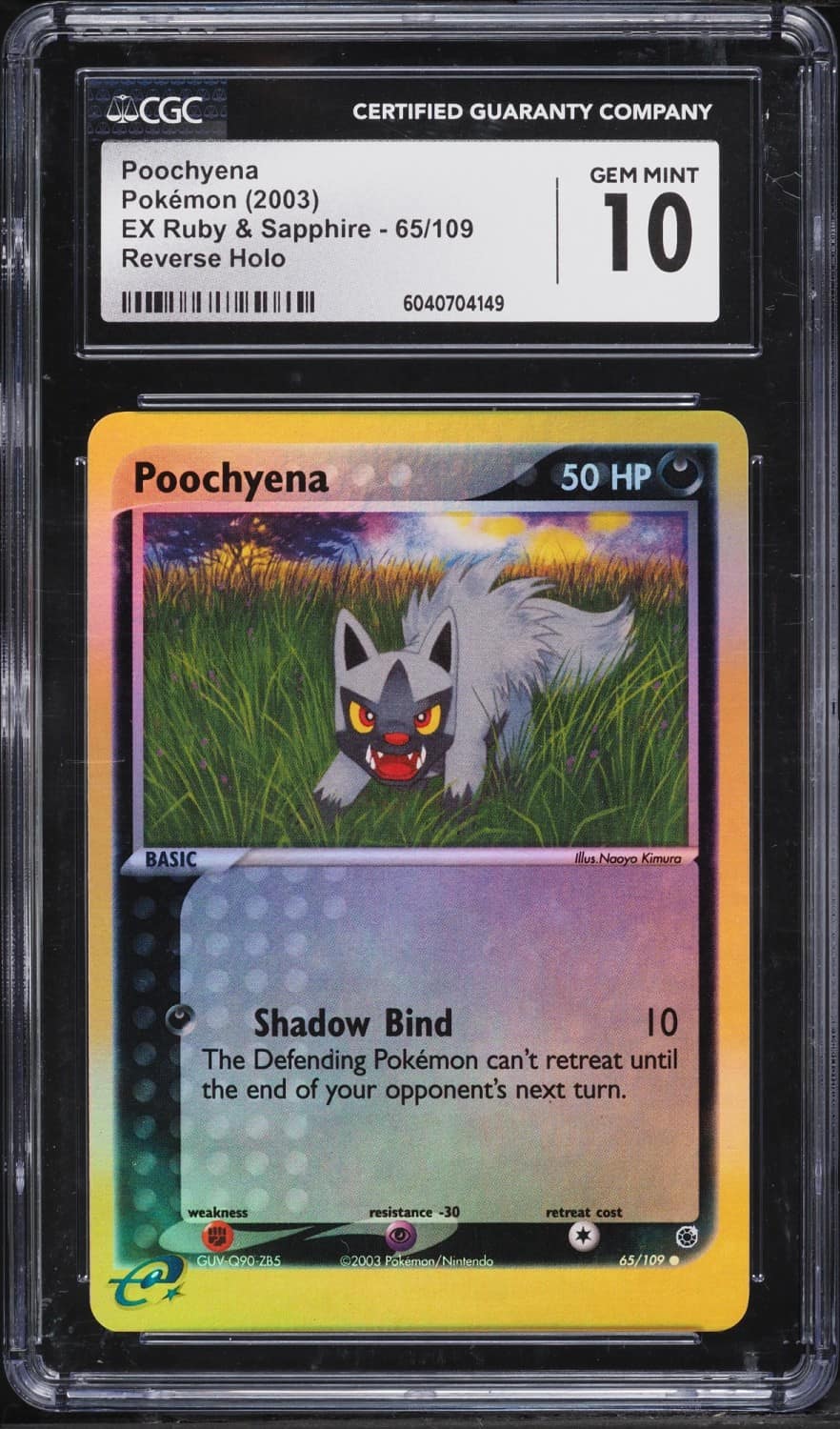 Poochyena