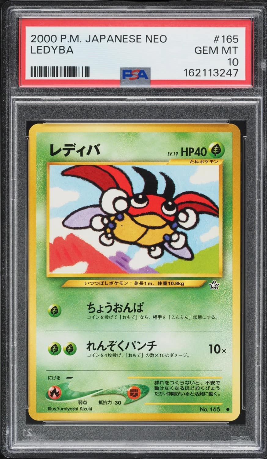 Ledyba