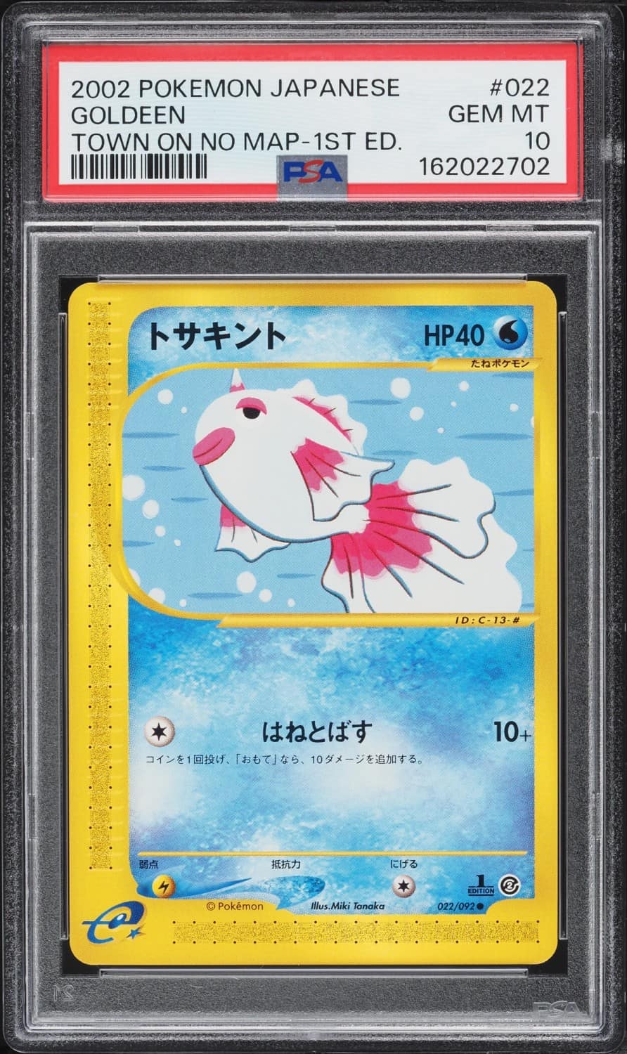 Goldeen