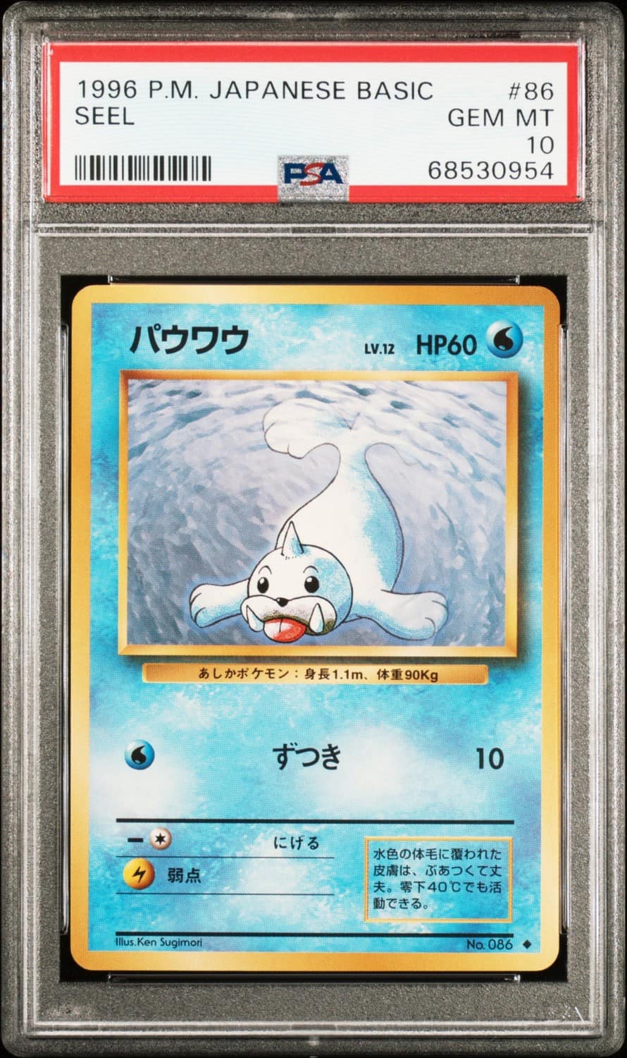 Seel