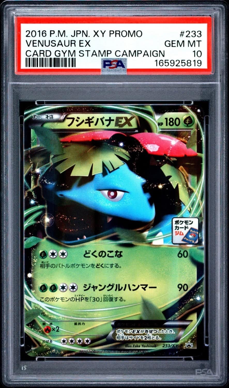 Venusaur Ex