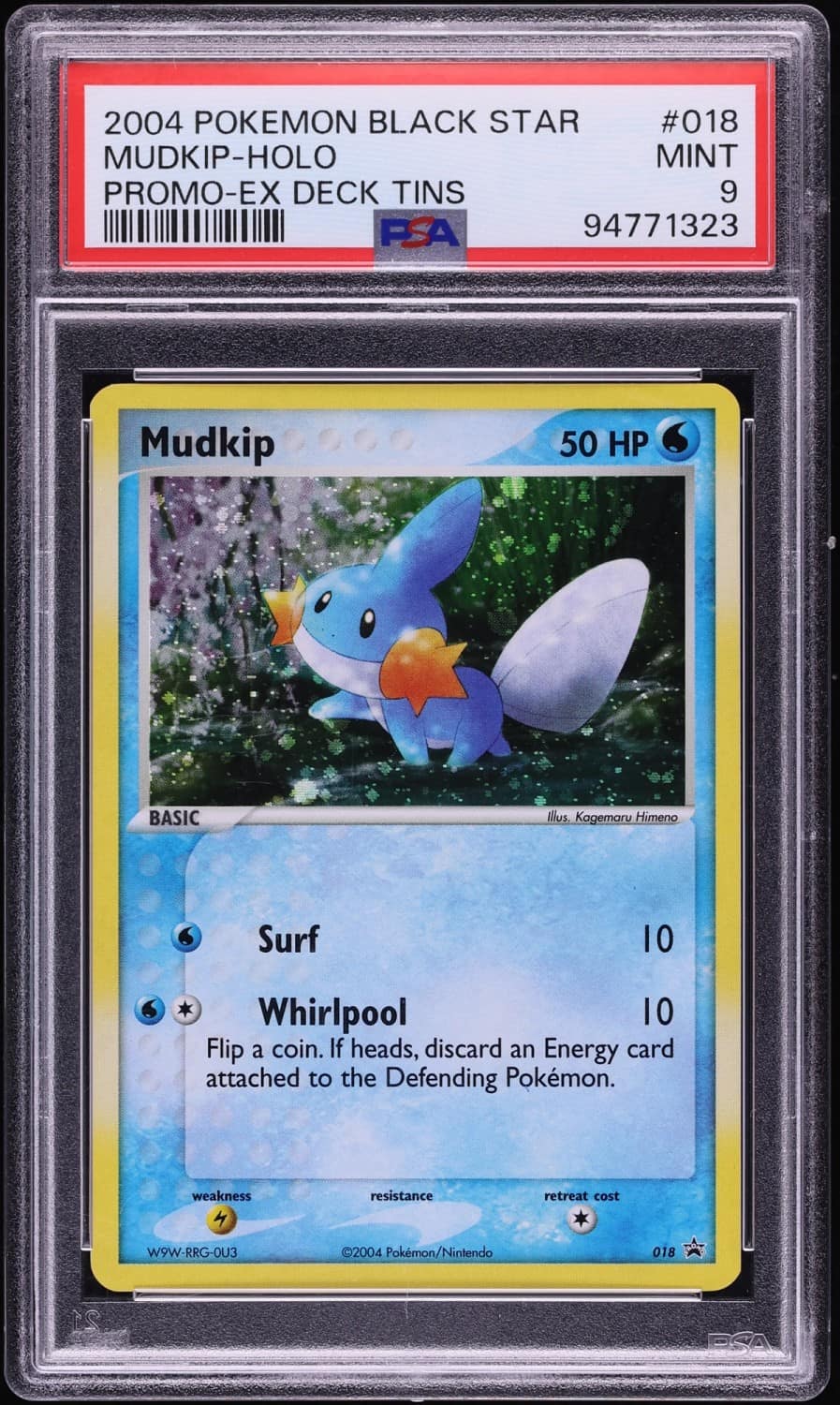 Mudkip