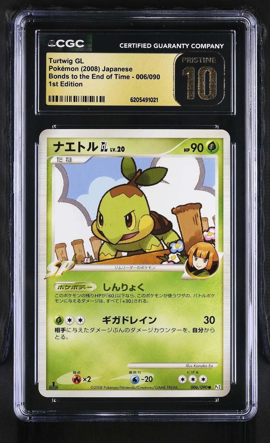 Turtwig Gl