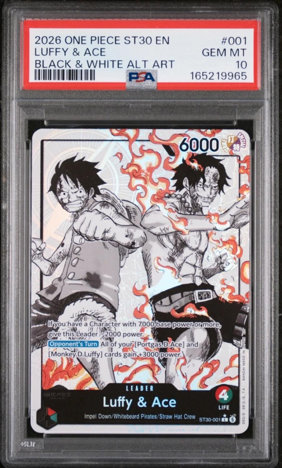 Luffy & Ace