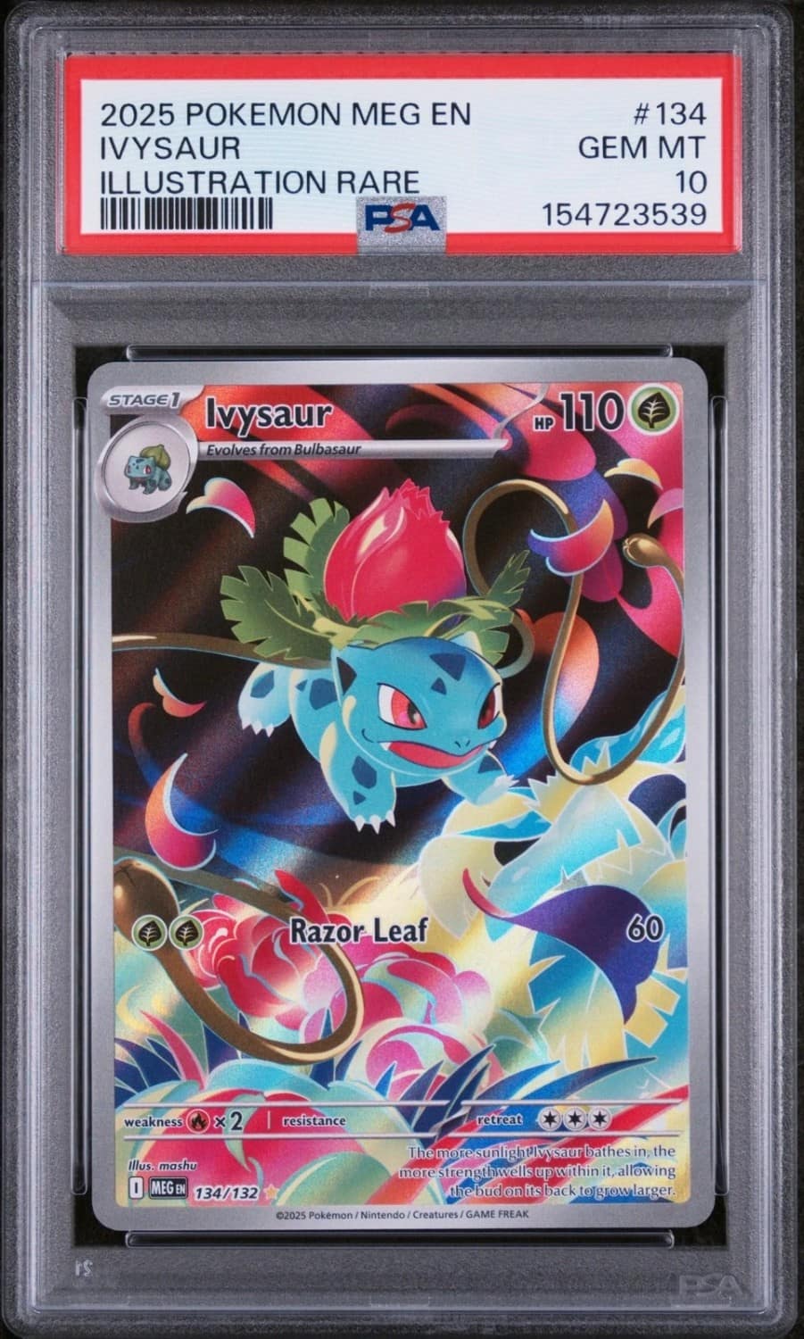 Ivysaur