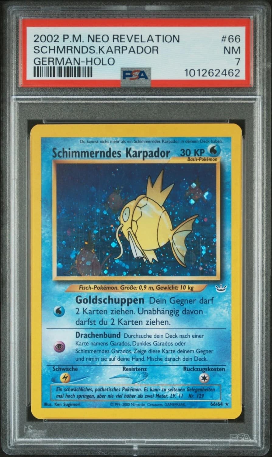 Schimmerndes Karpador