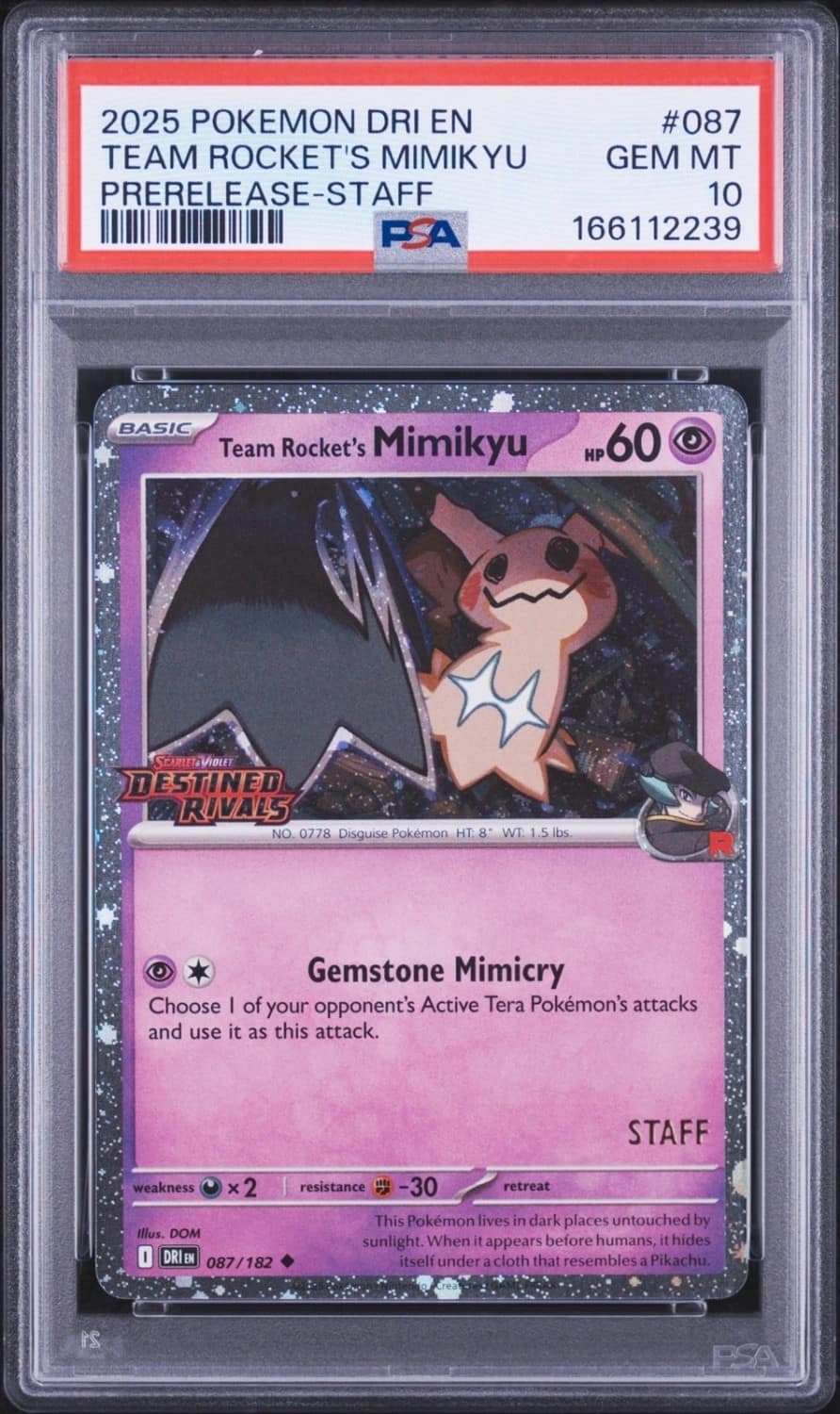Team Rocket'S Mimikyu