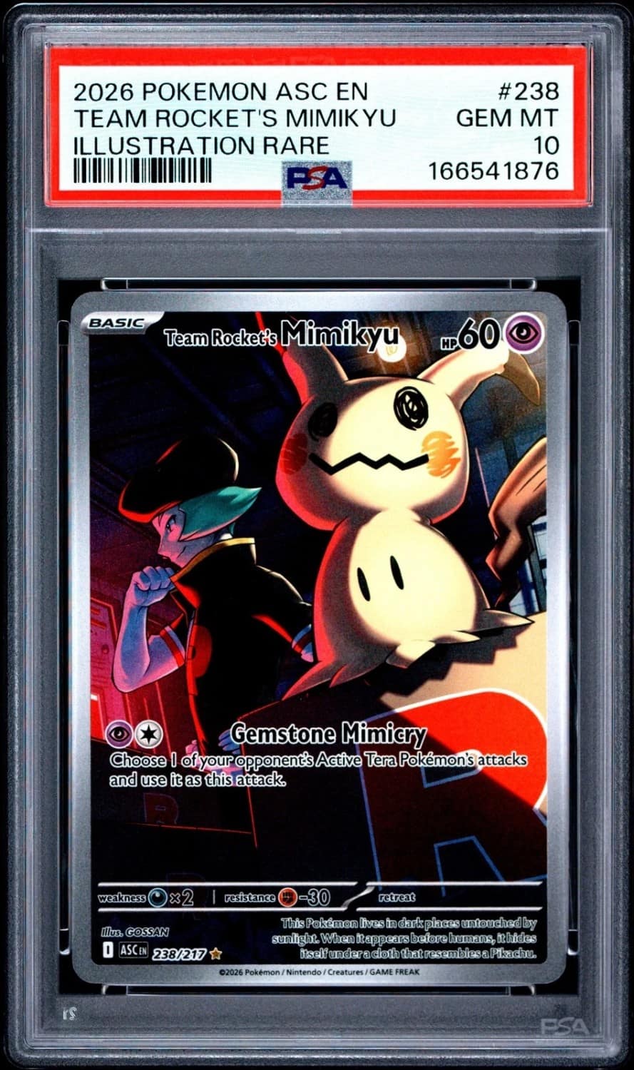 Team Rocket'S Mimikyu
