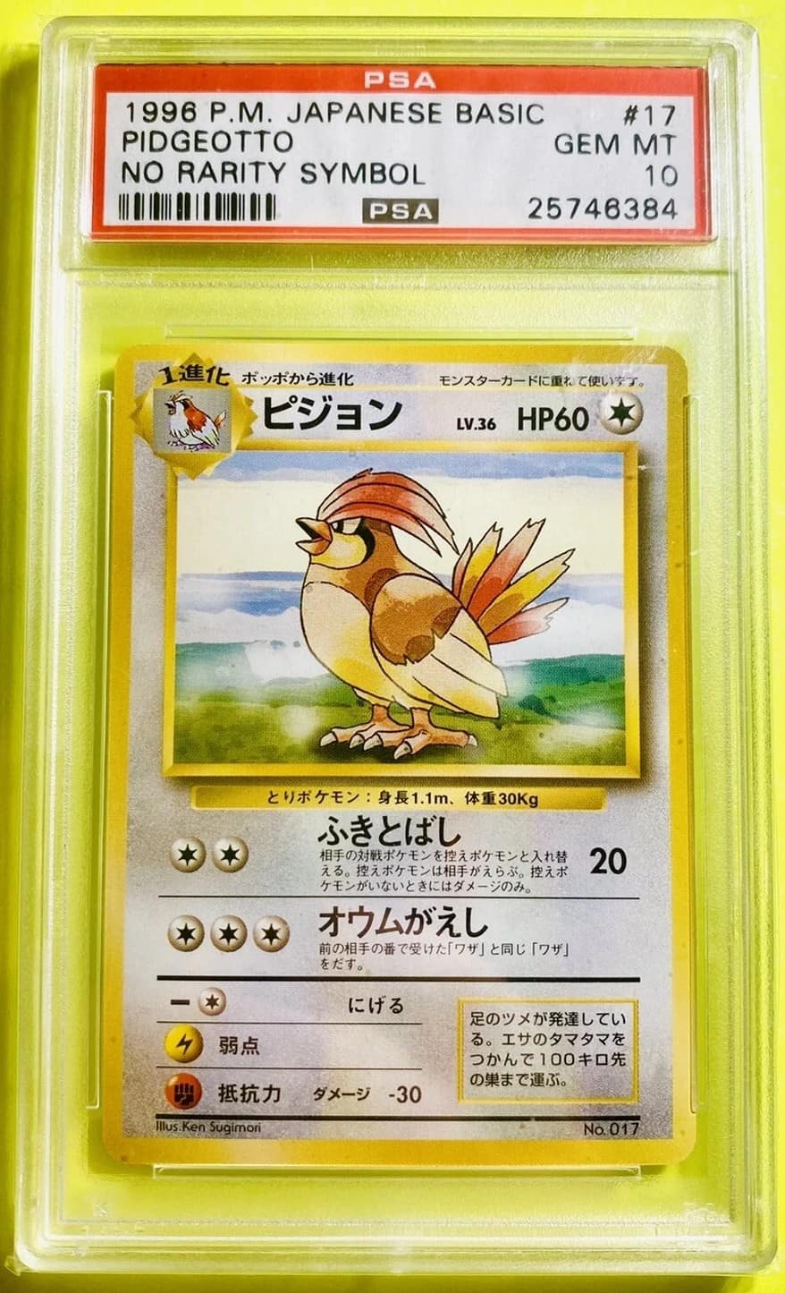 Pidgeotto