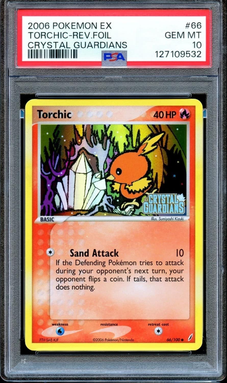 Torchic