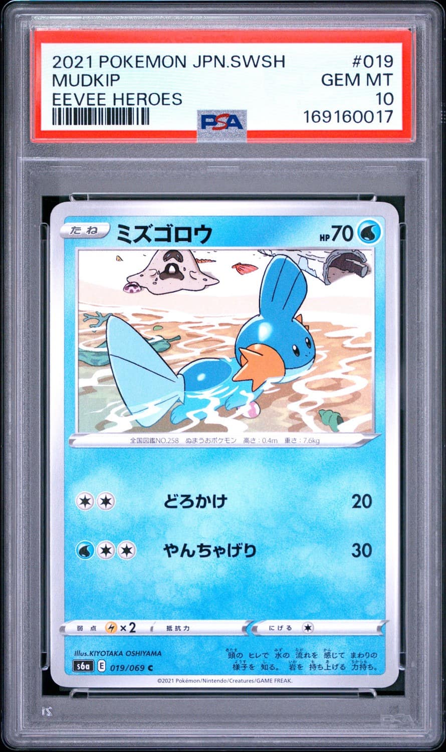 Mudkip