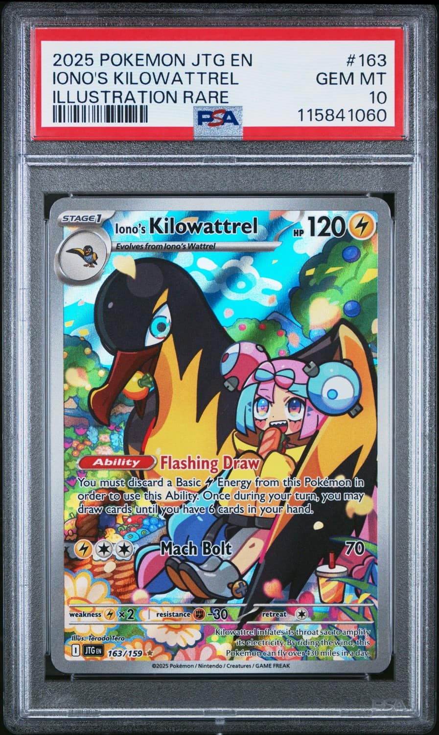 Iono'S Kilowattrel