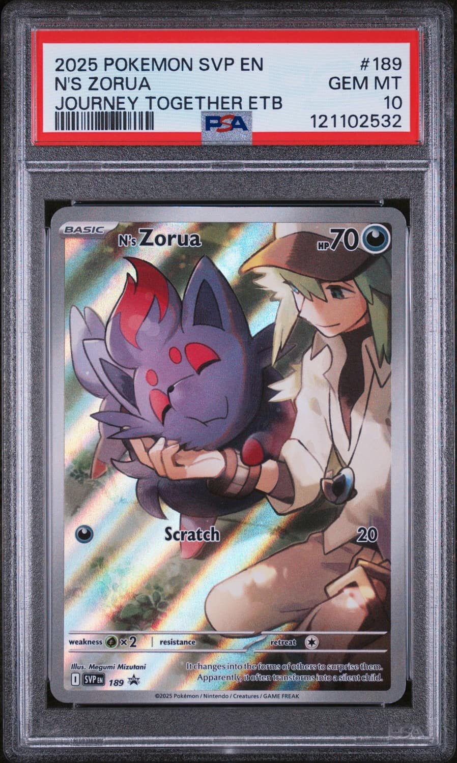N'S Zorua