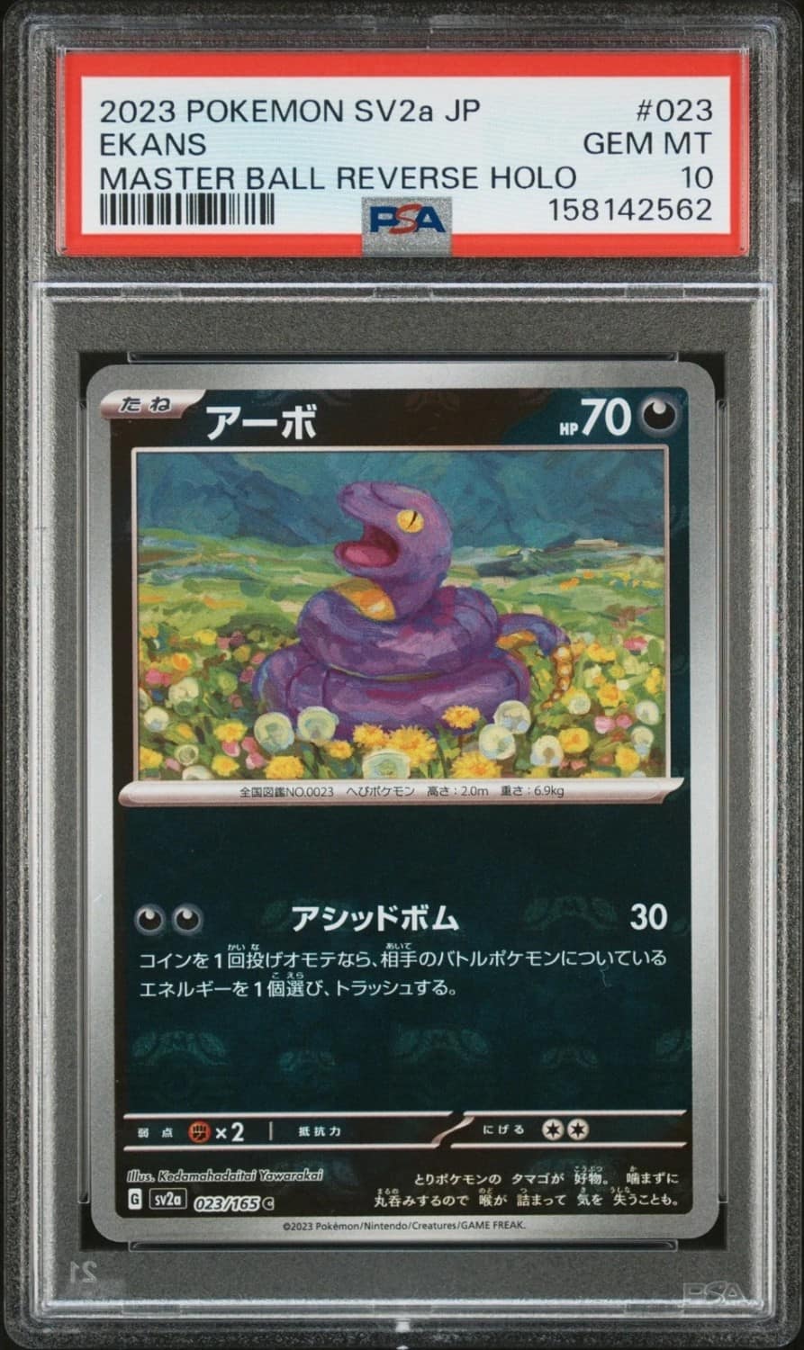 Ekans